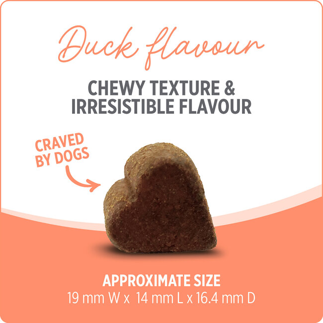 Nutrience Care Supplement for Dogs Probiotic+ 100 soft chews 400g