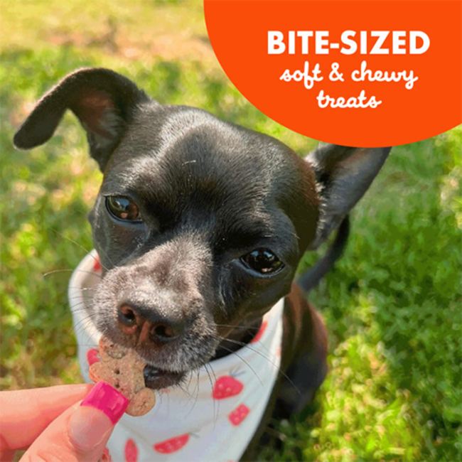 Buddy Biscuits Softies Mini Peanut Butter Soft & Chewy Treats 20oz