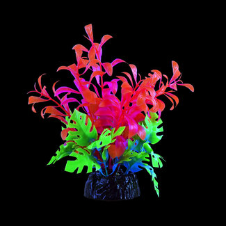 Underwater Treasures Glo Bacopa Pink Small