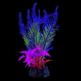 Underwater Treasures Glo Fern Blue Medium