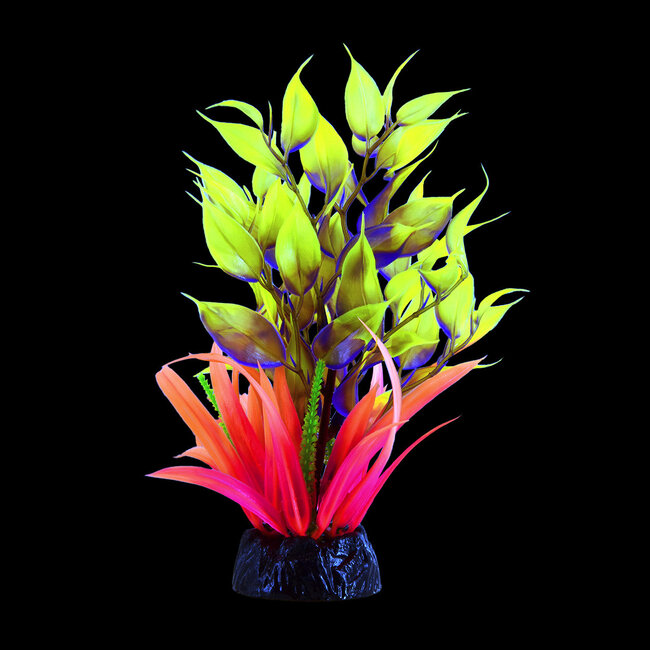 Glo Ludwiga Blue Large