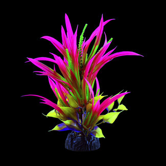 Underwater Treasures Glo Sagitaria Pink Large