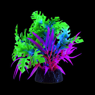 Underwater Treasures Glo Anubias Green/Blue Small