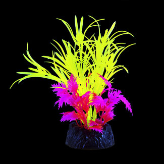 Underwater Treasures Glo Star Grass Yellow Small