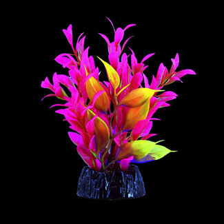 Underwater Treasures Glo Hygro Pink Small