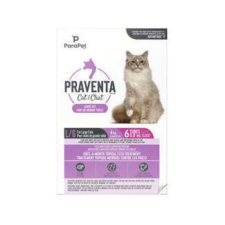 Parapet Praventa Flea Treatment - Large Cats 4 kg and over - 6 Tubes