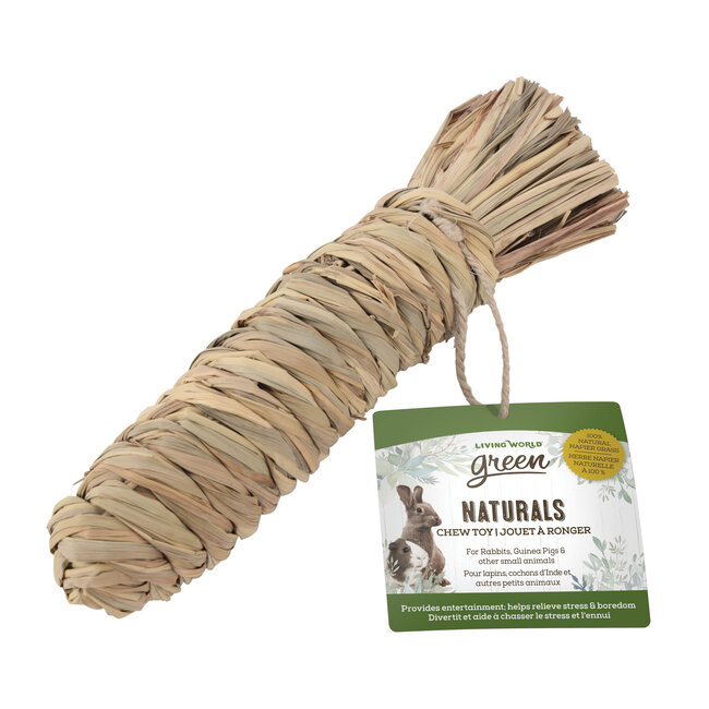 Living World Green Naturals Chew Toy Carrot