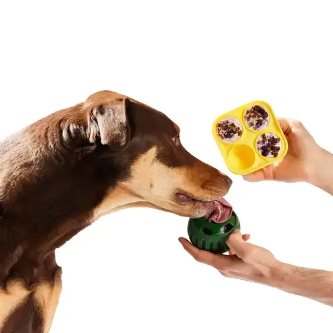 Woof Pupsicle Treat Tray Small