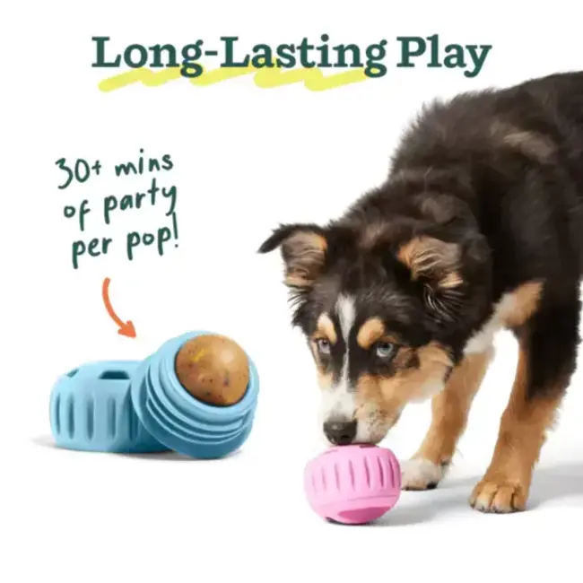 Woof Birthday Pops Large