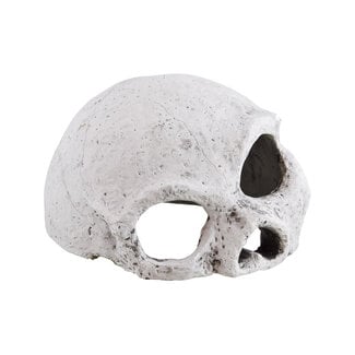 Reptile Treasures Ceramic Skull Medium