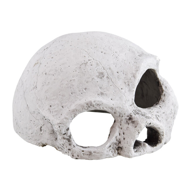 Ceramic Skull Large