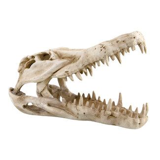 Reptile Treasures Dino Skull Shelter Large