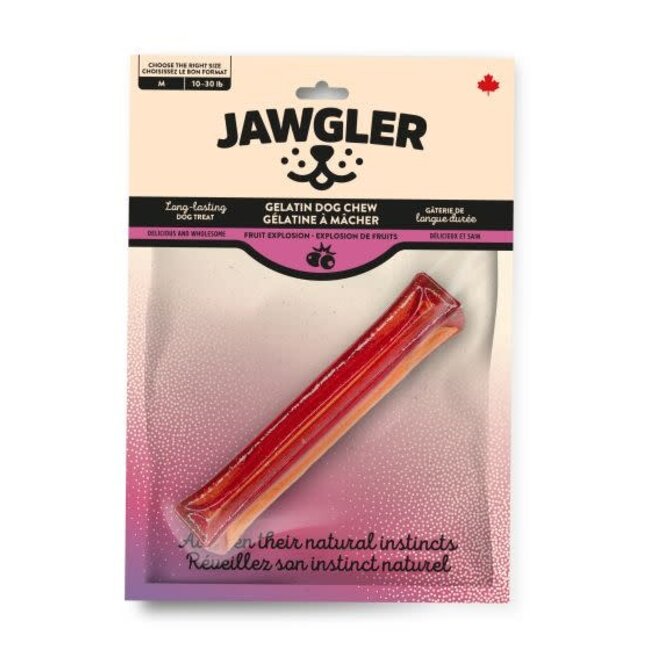 Jawgler Fruit Explosion Gelatin Dog Chew Medium