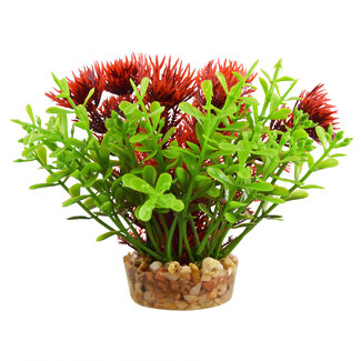 Underwater Treasures Bacomba Red 4" Aquarium Plant