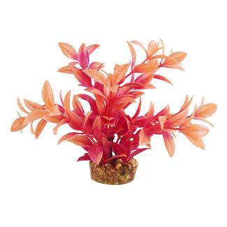 Underwater Treasures Ludwiga Sunset 6" Aquarium Plant