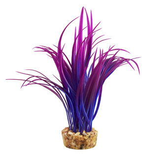 Underwater Treasures Japonica Purple 6" Aquarium Plant