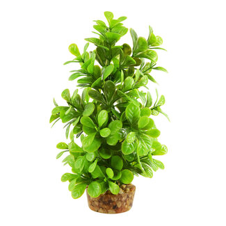 Underwater Treasures Moneywort Tree 8" Aquarium Plant
