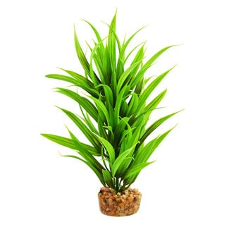 Underwater Treasures Sword Tree 8" Aquarium Plant