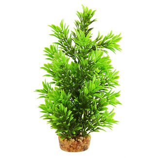 Underwater Treasures Hygro Tree 8" Aquarium Plant