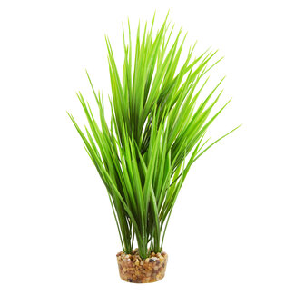 Underwater Treasures Amazon Grass Green 10" Aquarium Plant