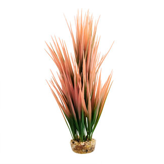 Underwater Treasures Amazon Grass Salmon 10" Aquarium Plant