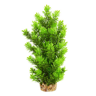 Underwater Treasures Ambulia Tree 12" Aquarium Plant