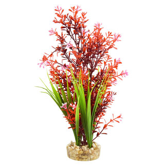 Underwater Treasures Bacopa Fountain 12" Aquarium Plant