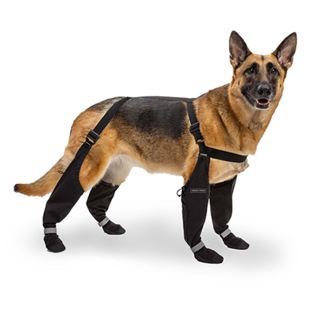 Canada Pooch Suspender Boots Black