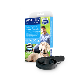 CEVA Adaptil Calming Collar Large