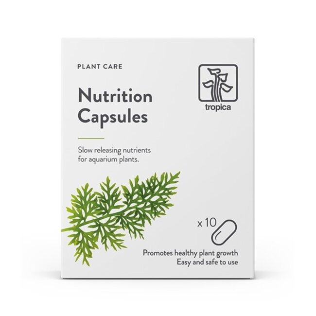 Nutrition Capsules