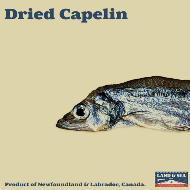 Canadian Dried Capelin 100g