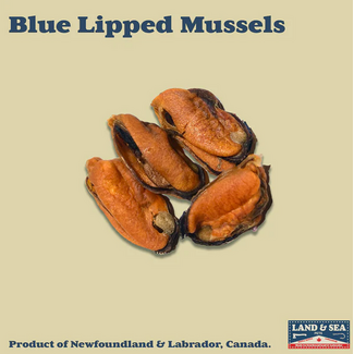 Land & Sea Air Dried Blue Lipped Mussels 100g