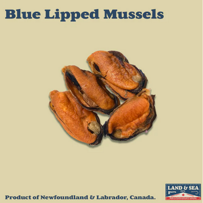 Air Dried Blue Lipped Mussels 100g