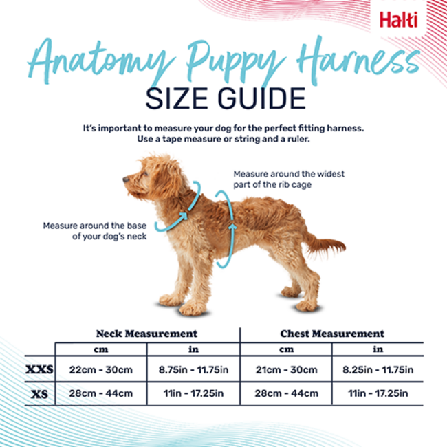 Halti Anatomy Puppy Harness