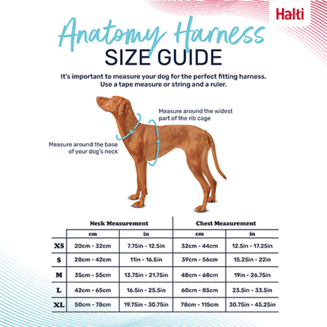 Halti Anatomy Harness