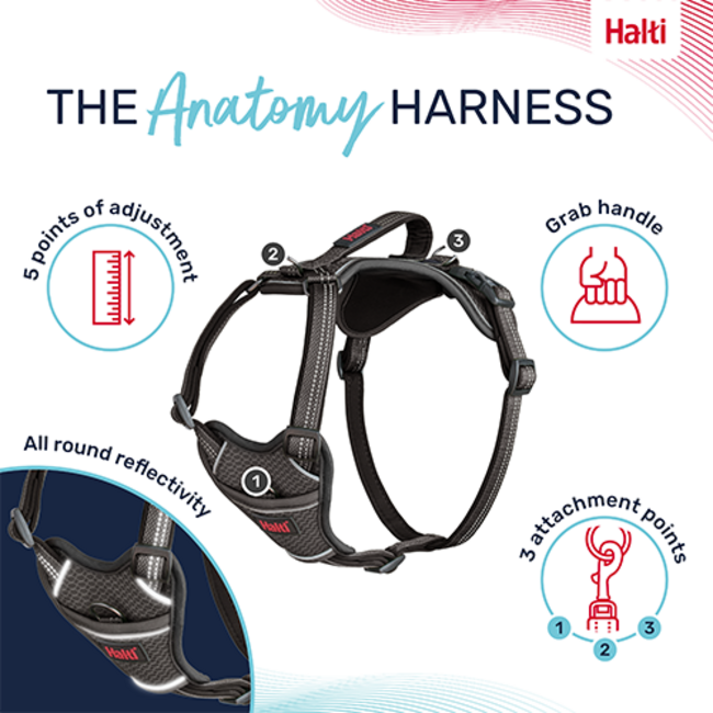 Halti Anatomy Harness