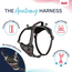 Halti Anatomy Harness