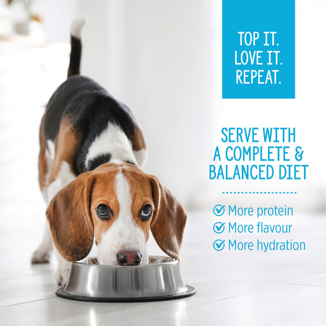 Nutrience Homestyle Topper for Dogs Chicken & Rice 152g