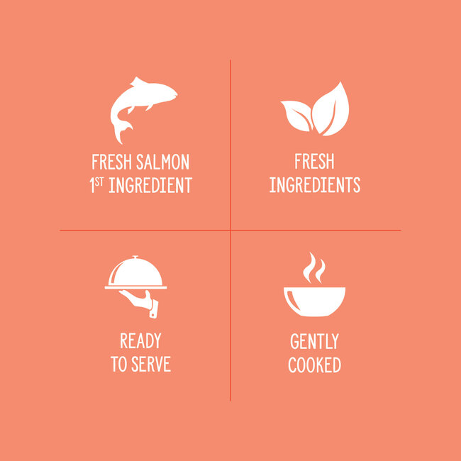 Nutrience Homestyle Topper for Dogs Salmon & Red Rice 152g