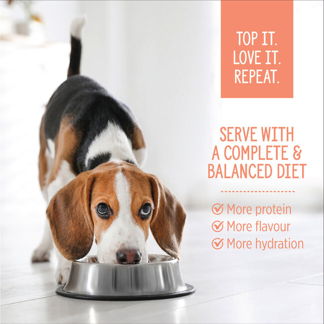 Nutrience Homestyle Topper for Dogs Salmon & Red Rice 152g