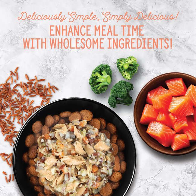 Nutrience Homestyle Topper for Dogs Salmon & Red Rice 152g