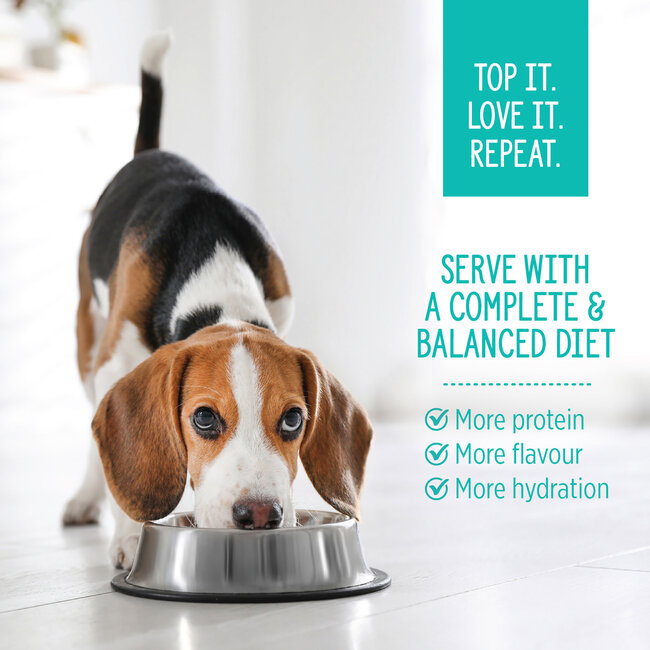 Nutrience Homestyle Topper for Dogs Surf & Turf 152g