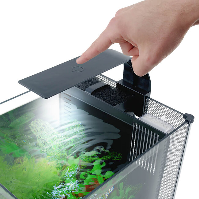 Fluval Betta Premium Aquarium Kit 22.7 L (6 US Gal)