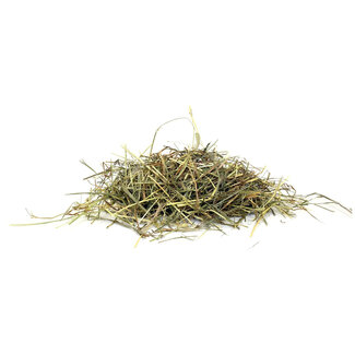 Living World Living World Timothy Hay Bulk 5.44kg (12lbs)