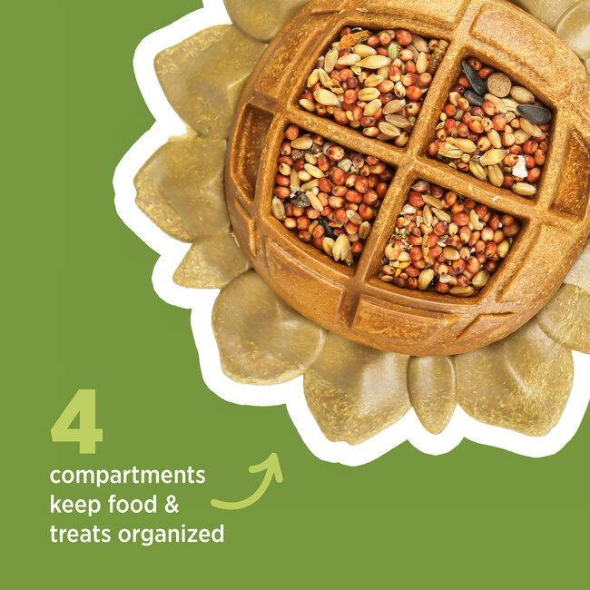 Living World Edible Sunflower Feeder 160g