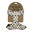 Dexypaws Neoprene Dog Harness