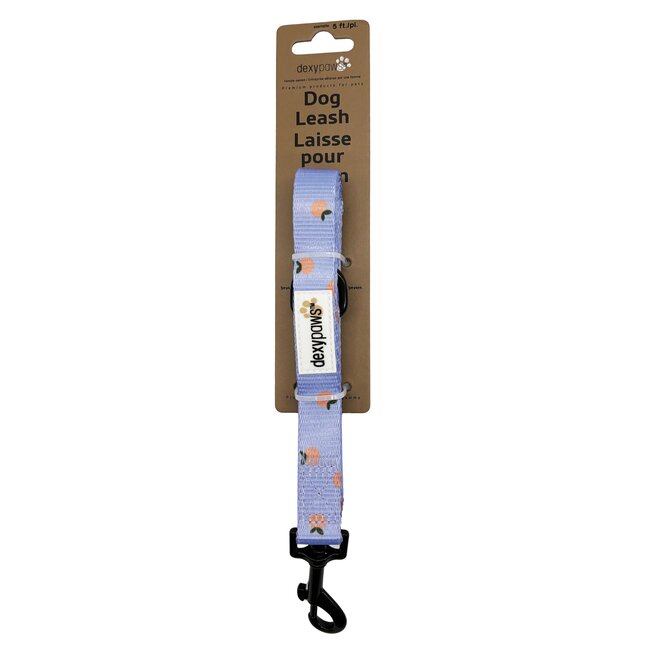 Dexypaws Polyester Dog Leash 5'