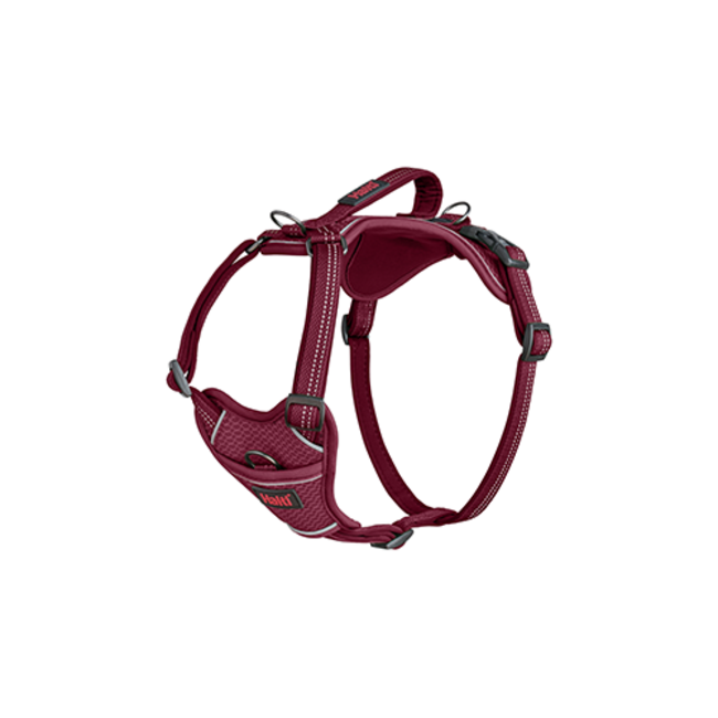 Halti Anatomy Harness