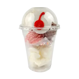 Bosco and Roxys Sundae Fundae DIY Dog Cookie Kit