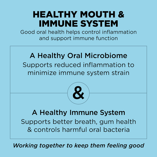 Go! Dental + Immune Health Chicken + Salmon Recipe With GrGo! Dental + Immune Health Chicken + Salmon Recipe With Grains for Dogs 4lbains for Dogs 4lb